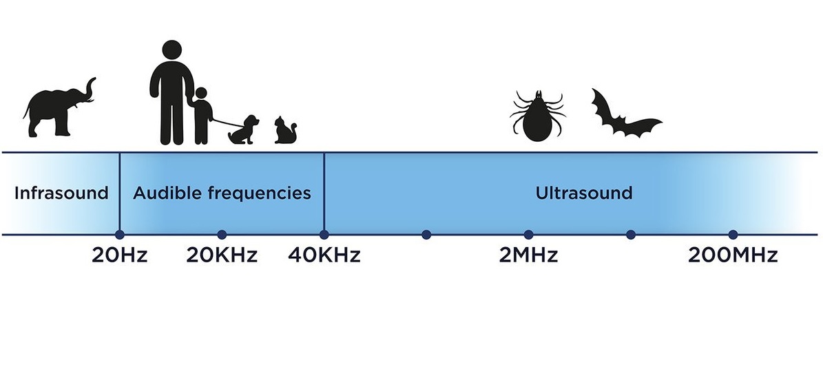 Ultrasound ořez